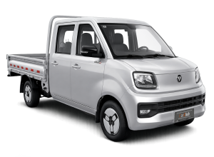 Грузовик Foton Xiangling Q 5-местный бортовой